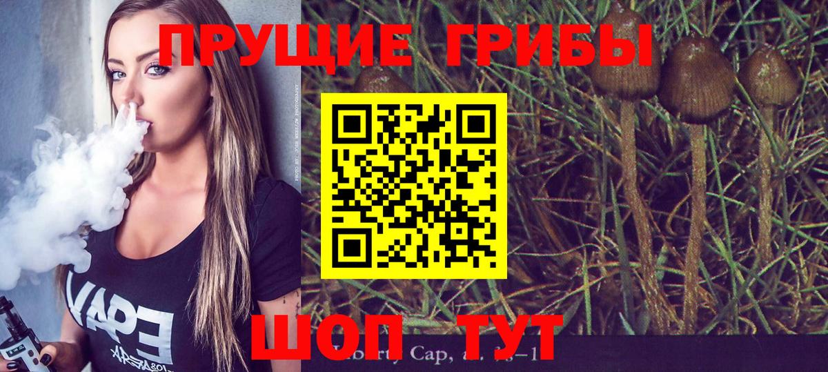 Псилоцибиновые грибы прущие грибы Ноябрьск