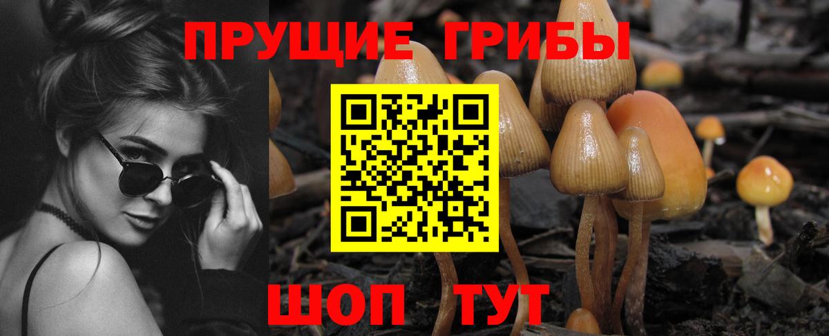 Ноябрьск  Псилоцибиновые грибы мицелий  Вход с VPN 